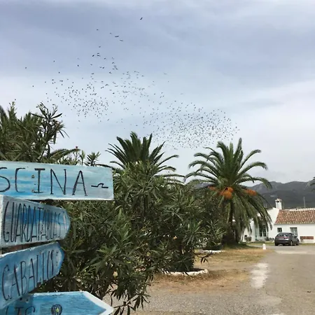 Casa Del Cortijo *